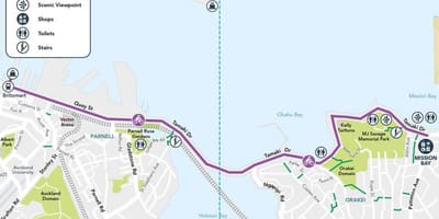 Woz cycleway Auckland kat jeyografik